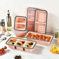 Boîte à lunch pliable en silicone, ensemble de contenants pour la préparation des repas, boîte de rangement alimentaire avec couvercles transparents pour la cuisine, les voyages, passe au micro-ondes