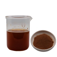 Extrait de champignon Reishi biologique en poudre, 40% de bêta-glucane, extrait biologique de Ganoderma Lucidum