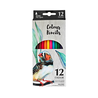 Crayons de couleur triangulaires 12 couleurs, non toxiques, ensemble de crayons de coloriage personnalisés pour enfants, fournitures scolaires, papeterie, vente en gros