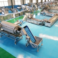 Ligne de production automatique de frites congelées et de frites de légumes en acier inoxydable SUS304, prix usine DY, 200-600 kg/h