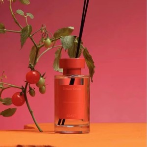 Xiang Xun <b>Reed</b> <b>Diffuser</b> Set Glass Cylinder Long Lasting Aroma Fresh Air 6 Months Fragrance Gift Box - Product Image 1