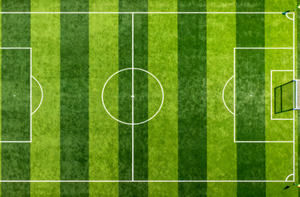 Sân bóng đá đánh dấu Cỏ Nhân Tạo Trắng cỏ tổng hợp cuộn ngoài trời sân bóng đá dày 50mm - Product Image 6