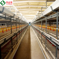 Cage à poulets automatique de type H pour l'équipement d'élevage avicole commercial