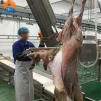 Équipement d'abattage de moutons et de chèvres à haute efficacité, conception inclinée verticale, ligne de traitement pour abattoir d'agneaux