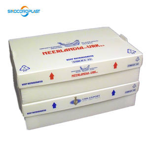 صندوق تعبئة مموج من البولي بروبلين من المصنع لحفظ الخضروات الطازجة والفاكهة والمأكولات البحرية - Product Image 4