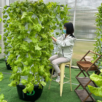 Système de tours hydroponiques de culture verticale pour légumes avec pompes à eau