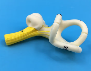Modèle d'anatomie du canal semi-circulaire de l'oreille humaine modèle de labyrinthe de l'oreille intérieure pour la recherche médicale et le sujet de l'oreille - Product Image 2