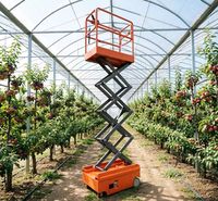 Plateforme élévatrice sur rail pour serre Seeda Orchard, chariot électrique à chenilles avec hauteur de levage réglable, garantie 1 an