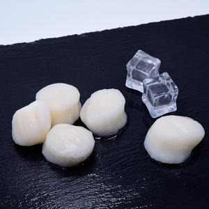 Sò Điệp Thịt Đông Lạnh Giá Bán Sỉ - Product Image 2