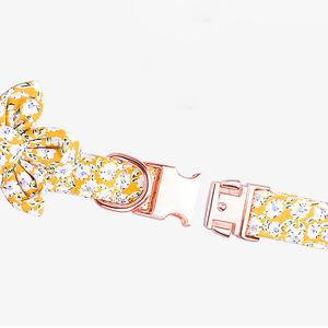 Großhandel Metalls chnalle Hunde halsband Langlebiges verstellbares Hunde halsband Weich für kleine mittelgroße Hunde - Product Image 3