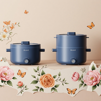 Pot électrique 2L Pot de nourriture pour bébé portable multi-cuiseur pour voyage, hôtel, petite famille, personne seule