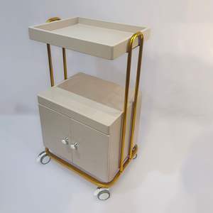 עגלת יוקרה מקורית ויוקרתית לסלון יופי לטיפולי עור עם מדף אחסון מעץ, עגלת כלים ממתכת ופלסטיק - Product Image 4