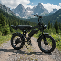 Vélo électrique tout-terrain à suspension intégrale, moteur arrière 750 W, batterie au lithium, 20 pouces, pour adultes