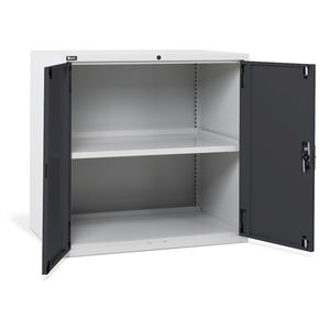 ตู้ออฟฟิศ Fami Master de 1020x726x1000มม. พร้อมประตูบานพับ2บาน2000กก - Product Image 3