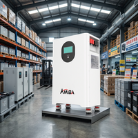 Batterie murale LiFePO4 10 kWh, 51,2 V, système de stockage d'énergie domestique mince pour l'alimentation de secours solaire