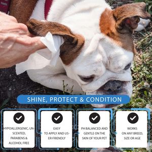 <span class=keywords><strong>Lingettes</strong></span> jetables pour animaux domestiques <span class=keywords><strong>lingettes</strong></span> nettoyantes bio pour chien chat oreille propre toilettage chien <span class=keywords><strong>lingettes</strong></span> humides OEM Shanghai nettoyage 15*18cm - Product Image 6