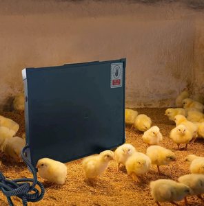 Plaque chauffante de sécurité et de maintien au chaud pour poussins, chauffe-poussins, plaque chauffante pour volailles, équipement d'élevage avicole - Product Image 4