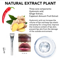 Huile à Lèvres Repulpante Multicolore en Gros, Cosmétiques Hydratants et Nourrissants, Huile Repulpante pour les Lèvres à Marque Privée, Gloss