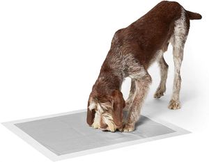 Tapis de change pour animaux de compagnie en carbone activé 60x60cm, matelas à haute absorption, tampons de nettoyage - Product Image 4