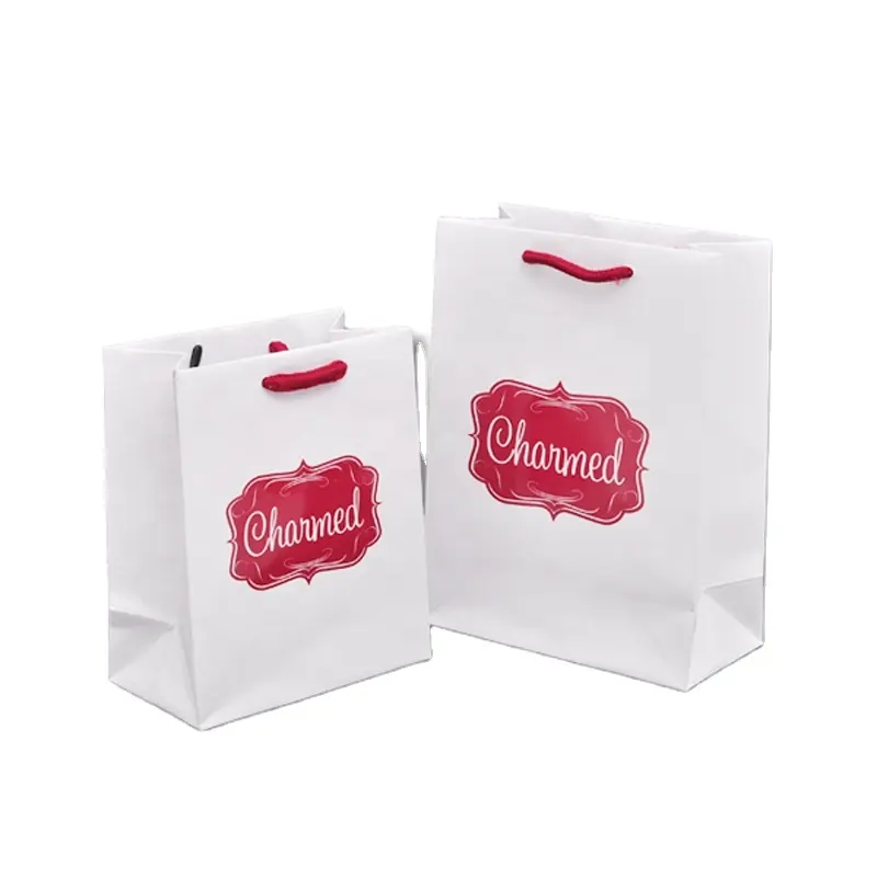 Hot Sale Paper Shopping Bag Custom Logo Takeaway Bag With Handles Clothing Bag