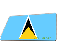 Tapis de sol d'intérieur à motif drapeau de Sainte-Kitts-et-Névis, tapis d'entrée, tapis de bienvenue extérieur, tapis de sol à profil bas pour entrée et patio