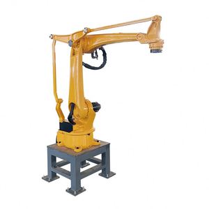 Robot Paletizador con Brazo y Pinza para Botellas, Bolsas, Cajas y Cartones, Máquina Paletizadora Robótica para Línea de Producción - Product Image 6