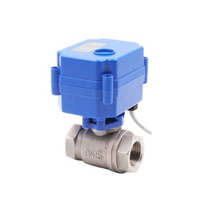 Van Động Cơ Nhỏ Van Điện Thiết Bị Truyền Động Nhỏ Bằng Thép Không Gỉ Đồng Thau BSP NPT Van Điều Khiển Lưu Lượng Cơ Giới 12V 24V 110V 220V - Product Image 1