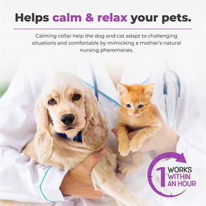 <span class=keywords><strong>Collar</strong></span> calmante de aceite impermeable ajustable de tendencia de nuevo producto, <span class=keywords><strong>collar</strong></span> de control antiladridos para perros y gatos - Product Image 2