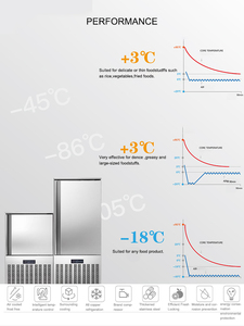 Abbattitore di Temperatura e Congelatore Rapido Freshnow di Piccole Dimensioni -40 -80 Gradi per Congelamento Rapido Individuale di Cioccolato e Tonno - Product Image 2