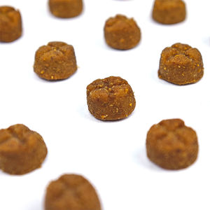 Aliments pour animaux de compagnie de qualité supérieure OEM ODM, usine de vente en gros, nutrition riche en protéines, nourriture sèche naturelle pour chiens - Product Image 3