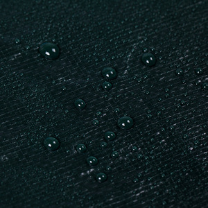 Shengde Black Pe Tarpaulin 2.0-6.0mm Waterproof For Pond And Aquaculture Covering - Product Image 1