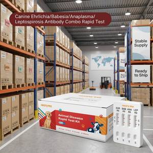 Kit di Test Rapido 4 in 1 per Screening Avanzato di Infezioni da Acari e Batteri: EHR BAB ANA LEP Ab - Product Image 6