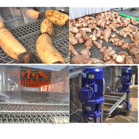 Nettoyeur à haute pression de type pulvérisation pour patates douces, laveuse de carottes, machine à laver et à peler les pommes de terre