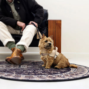 Arnés para Perro con Logotipo Personalizado, Chaleco Ajustable para Mascotas, Arnés de Diseño, Ropa de Moda para Mascotas - Product Image 5