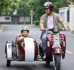 Motocicleta con Sidecar 2026, Triciclo Eléctrico Plegable de 3 Ruedas con Sidecar de Carga, Scooter, <span class=keywords><strong>Bicicleta</strong></span>, <span class=keywords><strong>Kit</strong></span> de Sidecar para Perros, Niños, Chopper - Product Image 2