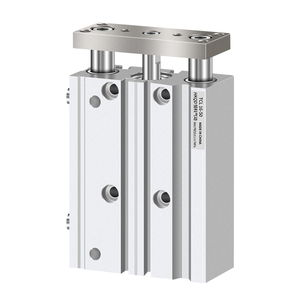 Cylindre pneumatique triaxial <span class=keywords><strong>TCL</strong></span> Corps en aluminium anodisé dur Tige de piston chromée Montage en 4 points Stabilité anti-fuite - Product Image 1