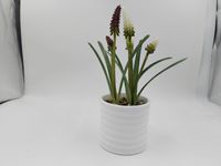Plante artificielle haut de gamme en jacinthe de vigne, verdure artificielle en pot avec des tiges de fleurs réalistes de couleur violet foncé et blanc crème