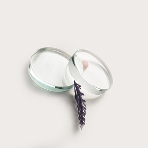 Plaque ronde en verre borosilicate <span class=keywords><strong>Pyrex</strong></span> poli transparent pour instruments et cuisine - Product Image 5