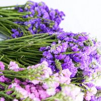 Dekorasi rumah Boho alami pernikahan buket bunga kering dengan kelopak mawar Lavender kayu putih kapas buluh Tengah