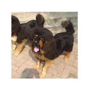 Vilt Gepersonaliseerde Kerst Xmas Ornamenten <span class=keywords><strong>Outdoor</strong></span> Decors Hond - Product Image 6