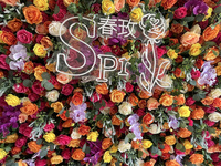 SPR Bouquet De Mariée Couleur Personnalisée Mariage Artificielle Rose Pivoine Orchidée Fleur Mur avec Plante Verte Feuille Fleur Panneau