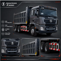 Camion benne Shacman Delong X3000 robuste pour carrière, carrosserie haute résistance, basculement stable pour le transport d'agrégats