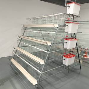 Les équipements de ferme avicole de conception soient utilisés au poulailler - Product Image 5