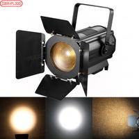 Projecteur LED Fresnel 300W pour Studio, Zoom Ra≥90 CW WW 2-en-1 RGBW en option, Lumière DMX pour Scène, Vidéo et Photographie