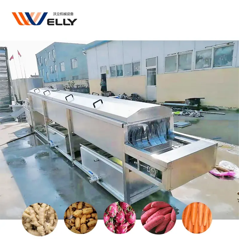 Multi-Functionele Fruit Wassen Apparatuur/Groente Reinigingsmachine/Groene Ui Wasmachine Machine