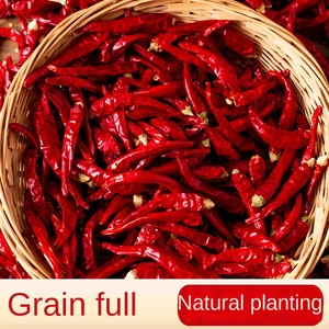 250g Chile seco Natural picante diablo variedad Cayenne pimentón Chile seco para uso alimentario caja embalaje a granel franqueo gratuito incluido - Product Image 6