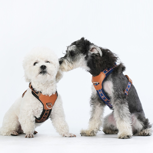 Hundegeschirr für Brust und Rücken mit atmungsaktiver, reflektierender Funktion zum Anbinden von Haustieren, geeignet für kleine und mittelgroße Hunde - Product Image 6