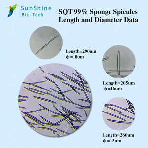 Extracto de Esponja Hidrolizado, Extracto de Planta Spongilla <span class=keywords><strong>Fragilis</strong></span> & Spongilla Lacustris, Polvo Blanco 99.51%, Cuidado de la Piel, Natural - Product Image 4