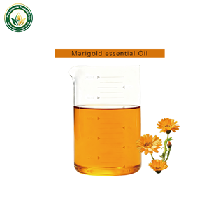 Huile Essentielle de Souci Apaisante et Régénérante Soin Naturel avec Arôme Boisé Amertume Musquée Origine Hubei Chine - Product Image 2