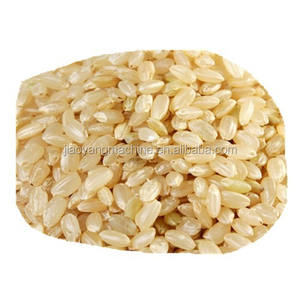 Extrudeuse industrielle automatique électrique à couscous pour <span class=keywords><strong>la</strong></span> production de riz artificiel Usines de fabrication Fermes Vapeur à l'état neuf - Product Image 4